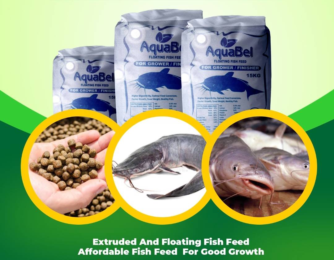 Aquabel Fish Feed – Home of Fish Feeds